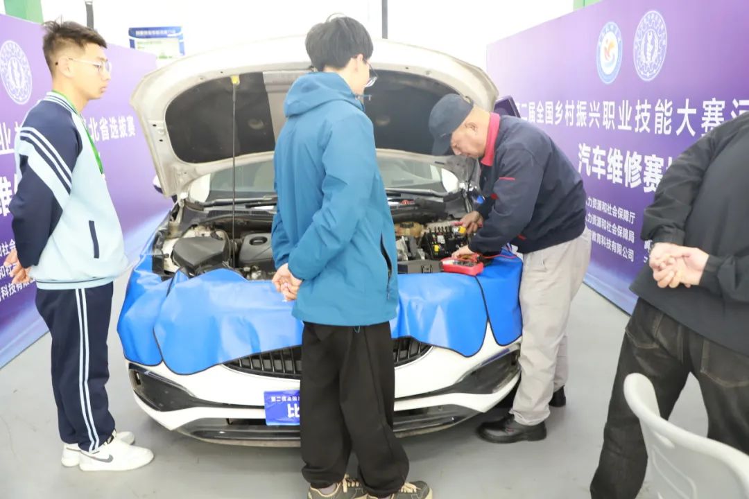 图片 图片