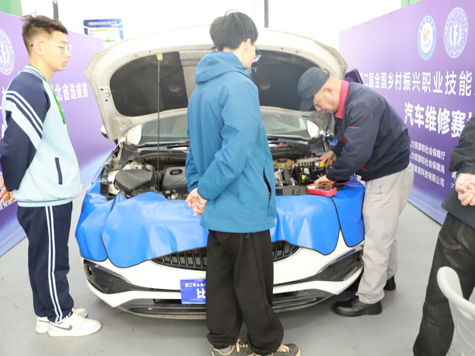 图片 图片